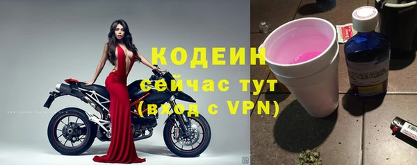 прущие грибы Нязепетровск