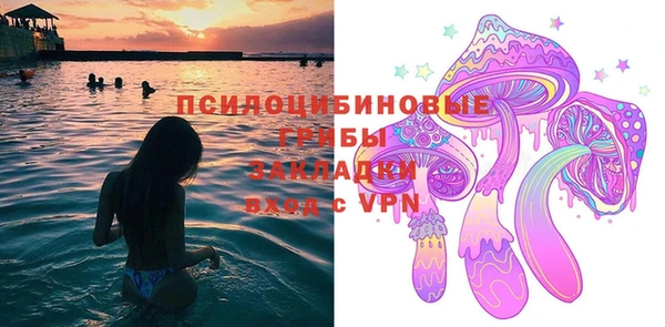 прущие грибы Нязепетровск