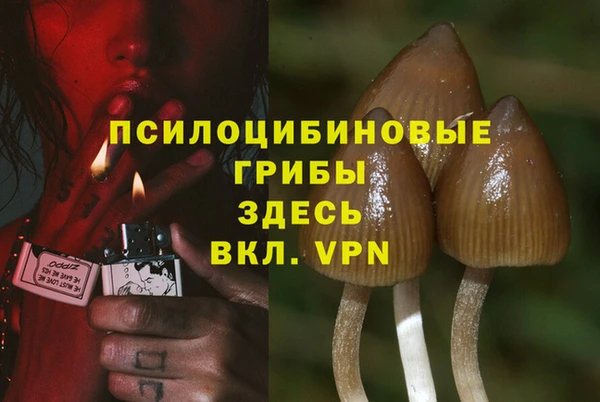 ALPHA-PVP Нягань