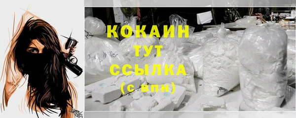прущие грибы Нязепетровск